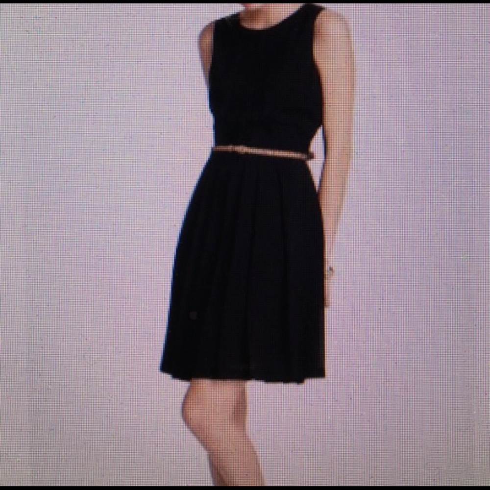 Anthropology Elegant Little Black Dress